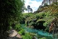 B (67) Te Waihou walkway